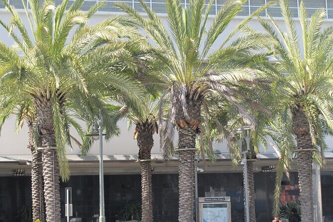 Black History Tour of South LA and Crenshaw - Key Points