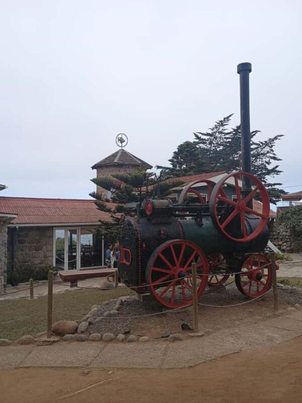 BLACK ISLAND AND CHILEAN WINE - Black Island and Chilean Wine Tour: An Authentic Chilean Experience