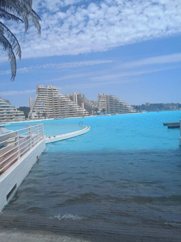 BLACK ISLAND AND CHILEAN WINE - Key Points