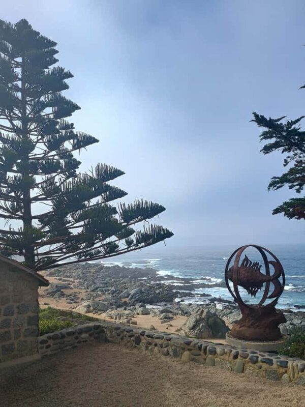 BLACK ISLAND AND CHILEAN WINE - Final Thoughts