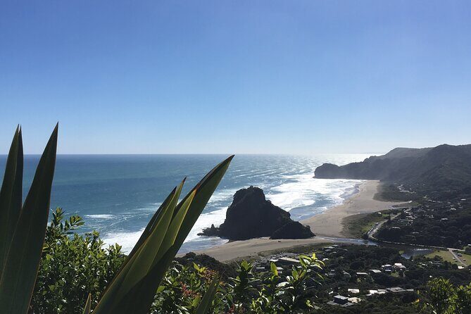 Black Labyrinth: Black Water Rafting - Private Tour from Auckland - Returning to Auckland