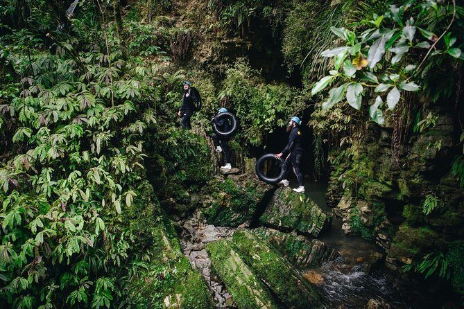 Black Labyrinth: Black Water Rafting - Private Tour from Auckland - Detailed Analysis: What Do You Gain from This Tour?
