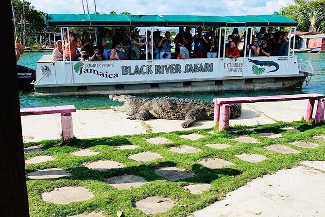 Black River Safari and Floyd Pelican Bar Tour from Montego Bay - Experience the Best of Jamaica: Black River Safari & Floyd’s Pelican Bar Tour