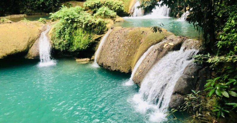 Black River Safari and Ys Falls Tour and Transportation - Who Will Love This Tour?