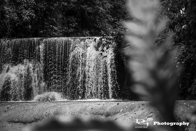 Black River Safari and YS Water Falls - Key Points