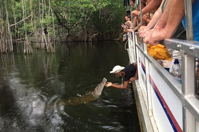 Black River Safari with Transport from Montego Bay - A detailed look at the Black River Safari experience