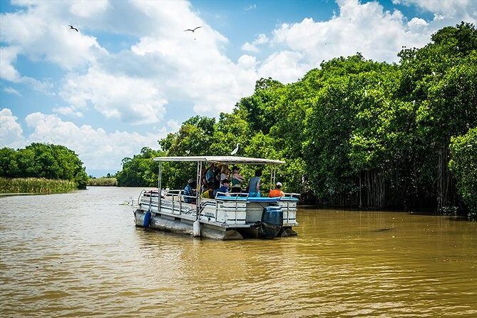 Black River Safari with Transport from Montego Bay - Who Should Consider This Tour?