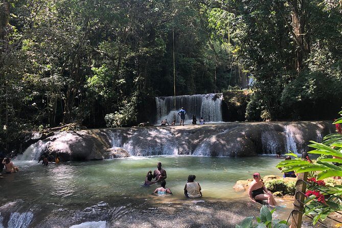 Black River Safari, YS Falls and Appleton Estate - Discovering Jamaica’s Natural Wonders and Flavors: Black River Safari, YS Falls, and Appleton Estate