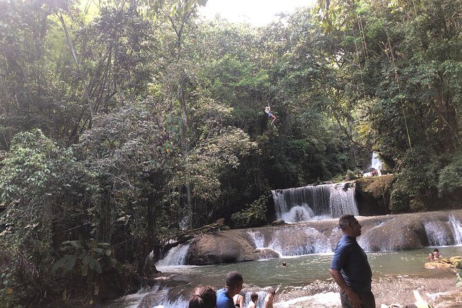 Black River Safari, YS Falls and Appleton Estate - Practical Details and What to Expect