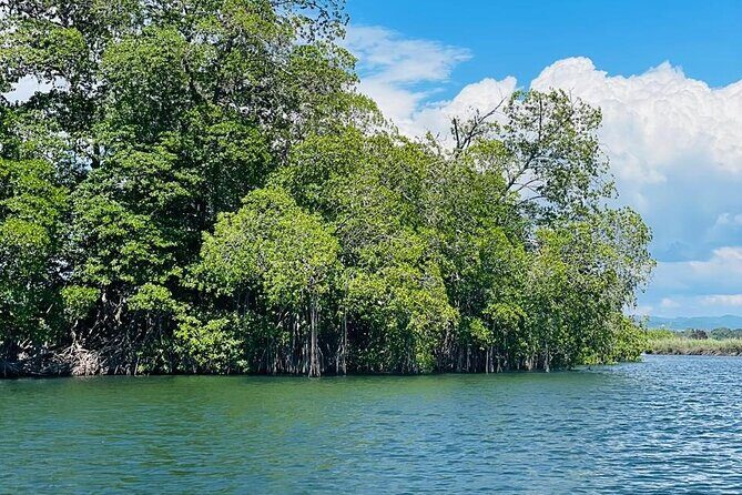 Black River Safari YS Falls Lunch Classic Combo From Negril - What Travelers Can Expect