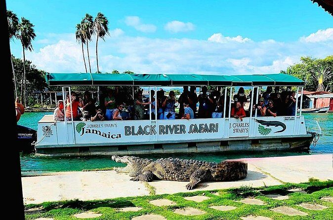 Black River Safari YS Falls Lunch Classic Combo From Negril - Who Is This Tour Perfect For?