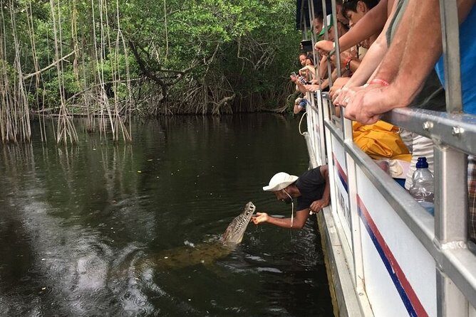 Black River Safari/YS Falls plus Floyd's Pelican Bar Private Tour - Final Thoughts