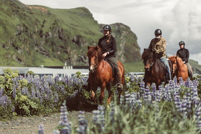 Black Sand Beach Horse Riding Tour from Vik - Black Sand Beach Horse Riding Tour from Vik