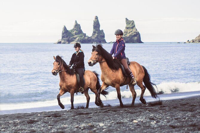 Black Sand Beach Horse Riding Tour from Vik - Who Will Love This Tour?