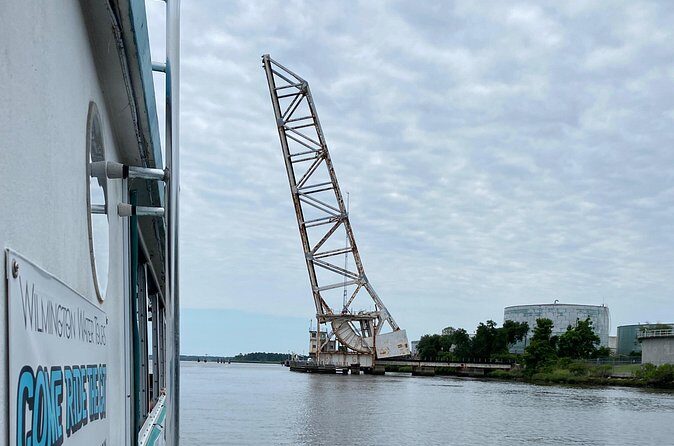 Black Water Adventure Cruise - Final Thoughts on the Black Water Adventure Cruise