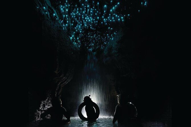 Black Water Rafting Experience Waitomo Caves Tour - Black Water Rafting Experience Waitomo Caves Tour: A Deep Dive into Adventure