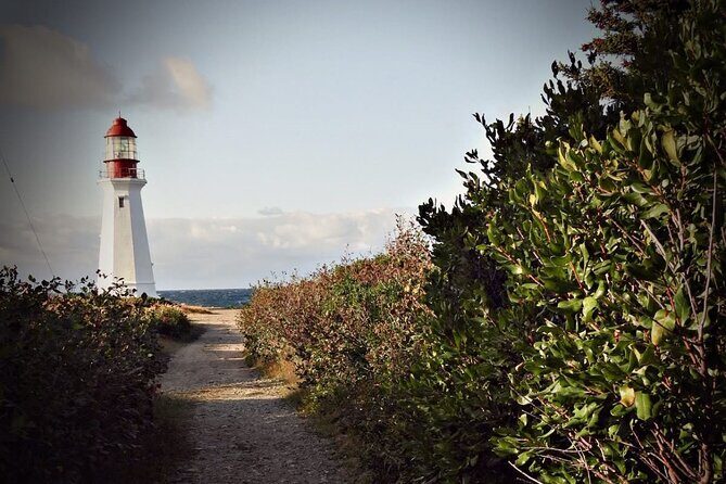 Blacketts Lake And East Bay Sand Bar Coastal Tour - Who Will Love This Tour?