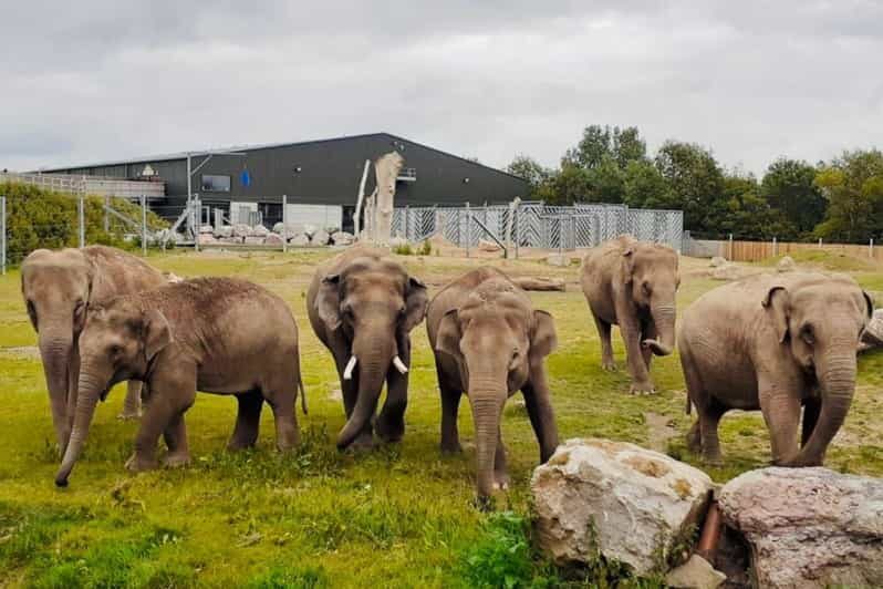 Blackpool: Zoo Admission Ticket - Explore the Wild at Blackpool Zoo: A Practical Guide for Visitors