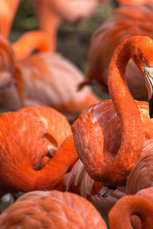 Blackpool: Zoo Admission Ticket - Final Thoughts: Why Visit Blackpool Zoo?