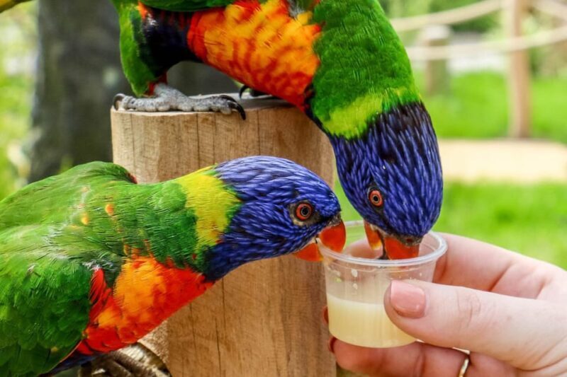 Blackpool: Zoo Admission Ticket - FAQ