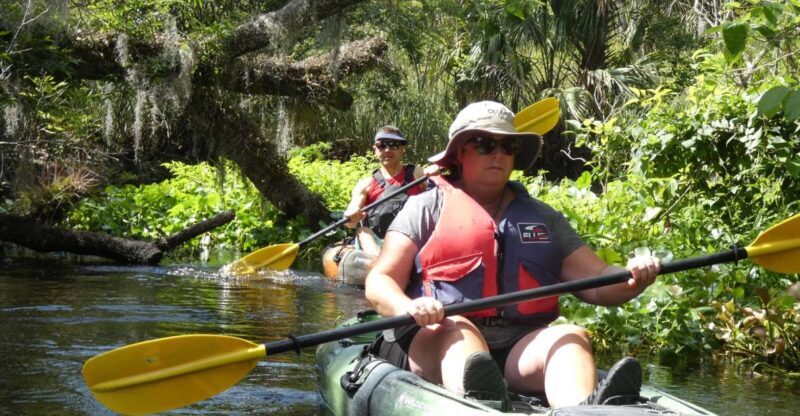 Blackwater Creek: Exclusive Nature Escape Kayak Adventure - Key Points