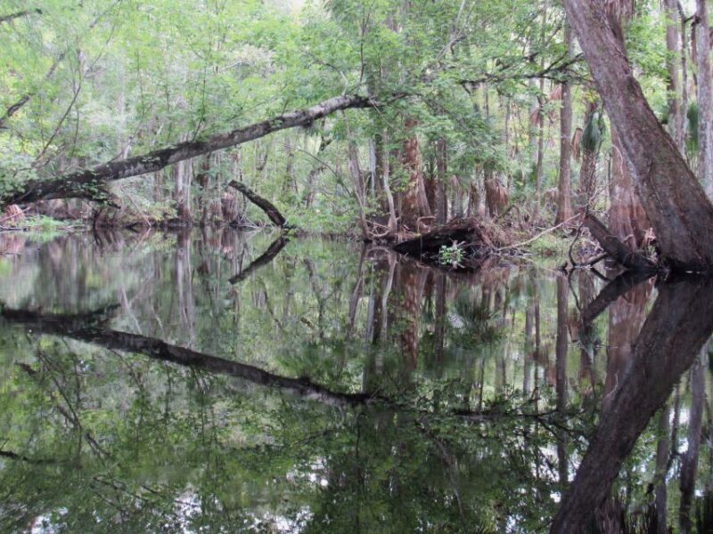 Blackwater Creek: Exclusive Nature Escape Kayak Adventure - The Value Proposition