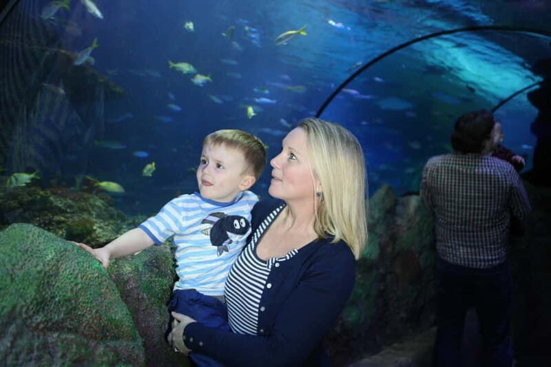 Blankenberge: SEA LIFE Entry Ticket - Exploring Blankenberge SEA LIFE in Detail