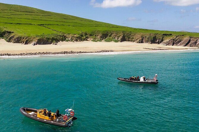 Blasket Island Sea Life Rib Tour, - Exploring Ireland’s Wild Coast: The Blasket Island Sea Life Rib Tour
