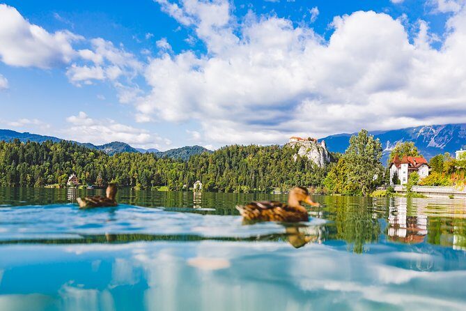 Bled lake, island & castle | Private half day trip from Ljubljana - Key Points