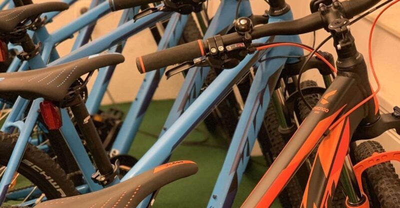 Bled: Mountain Bike Rental - Authentic Experiences Highlighted in Reviews