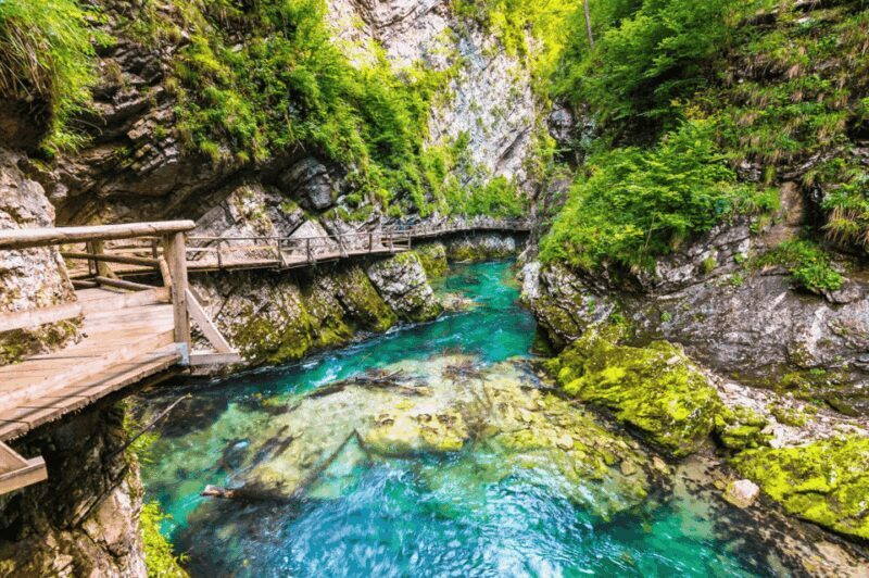 Bled: Vintgar Gorge Best Experience and Food Tasting - A Deep Dive into the Vintgar Gorge Experience