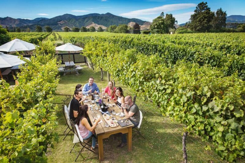 Blenheim/Renwick: Marlborough Half-Day Wine Tour with Lunch - Key Points