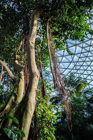 Bloedel Conservatory Admission Ticket - Final Word
