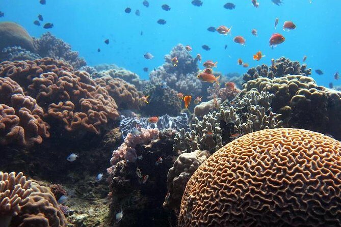 Bloo Lagoon Snorkeling East Bali Includes Transportation & Lunch - FAQ: Your Questions Answered