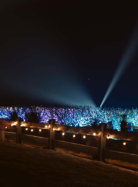 Blossom by Light at CherryHill - What is Blossom by Light at CherryHill?