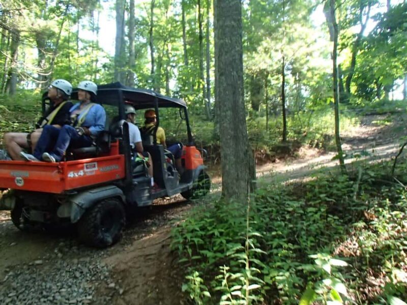 Blowing Rock: Zipline Adventure Tours with Waterfall Views - Who Should Consider This Tour?