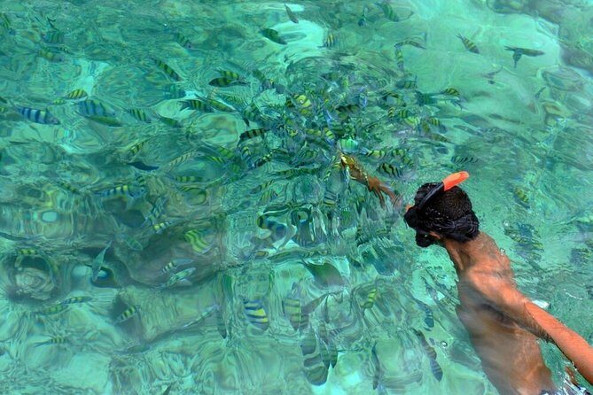 Blu Anda Catamaran to Phi Phi from Phuket - An In-Depth Look at the Experience