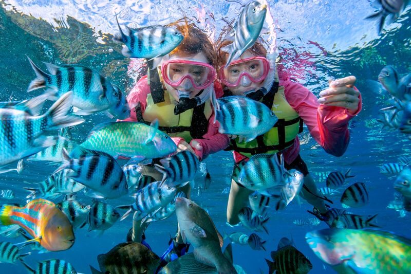Blue Cave Diving/Snorkeling & Banana Boat Experience in Okinawa - What the Blue Cave outing offers