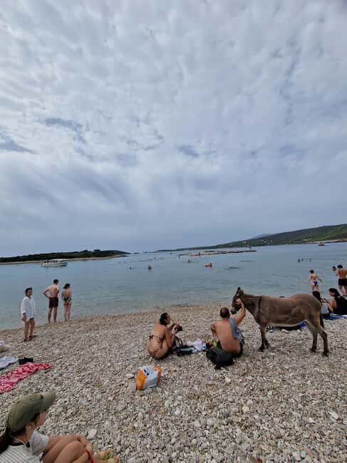 Blue cave private tour from Hvar - Is This Tour Suitable for You?