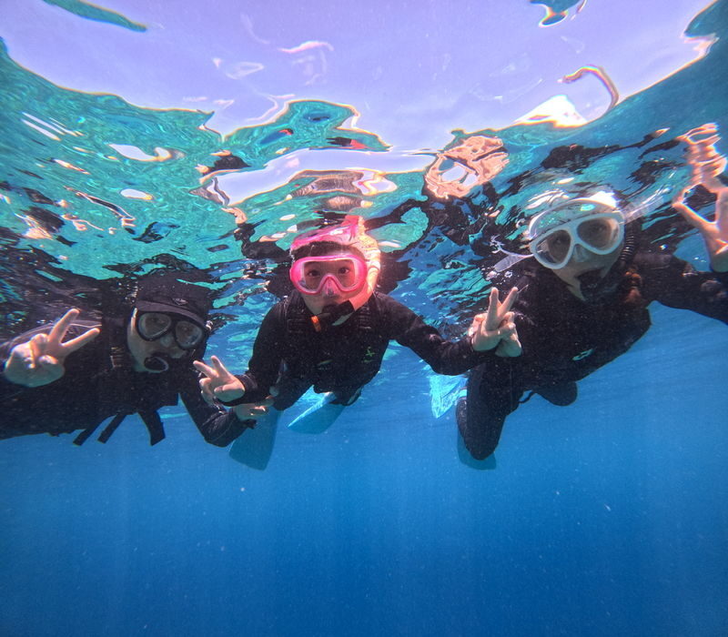 Blue Cave Snorkeling and Diving in Okinawa - Picking a package that suits you