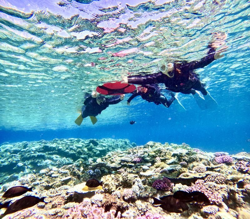 Blue Cave Snorkeling and Diving in Okinawa - Getting to Cape Maeda and planning your arrival