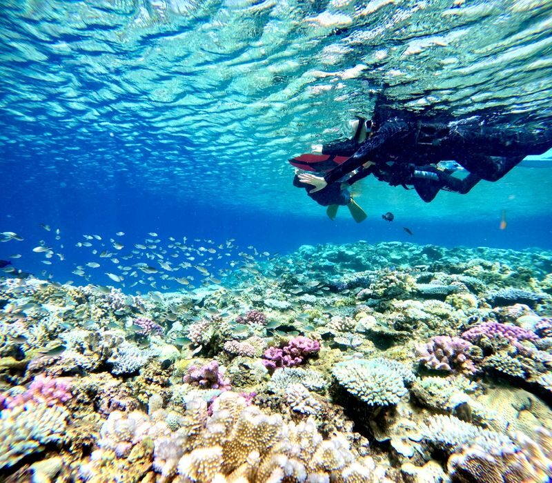 Blue Cave Snorkeling and Diving in Okinawa - Who should book, and who should pause
