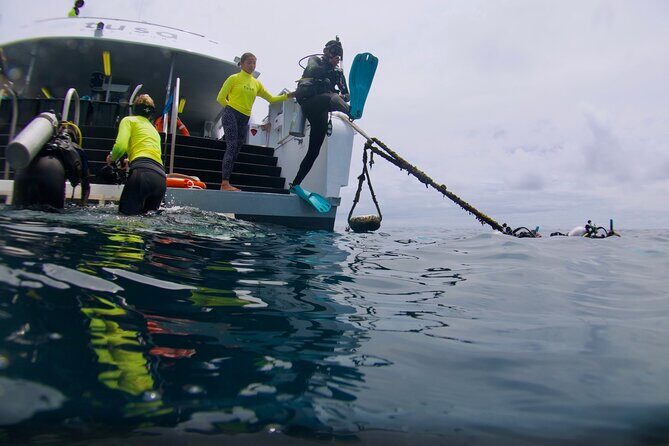 Blue Dive Private Guided Scuba Dive Cairns - Why This Tour Is a Great Choice