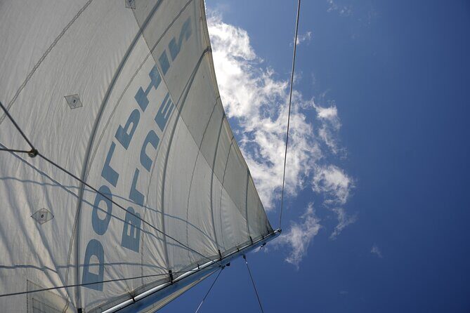 Blue Dolphin - Private Catamaran Tour - A Closer Look at the Blue Dolphin Catamaran Tour in Tamarindo