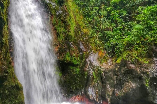 Blue Falls and Catarata Toro Hiking Tour - A Complete Look at the Blue Falls and Catarata Toro Hiking Tour