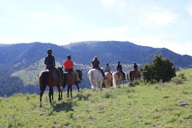 Blue Flower Trail Ride - Discover the Blue Flower Trail Ride in Montana