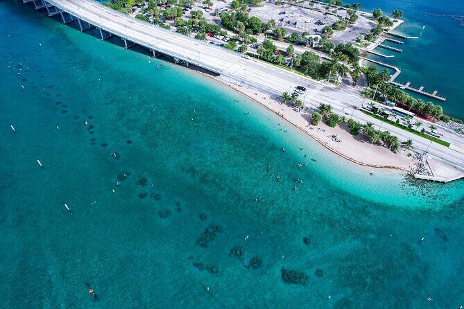 Blue Heron Bridge Guided Snorkel Tour - A Closer Look at the Snorkel Tour