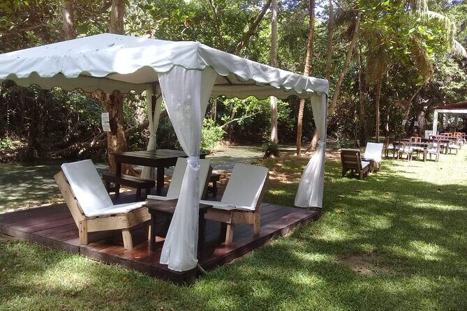 Blue Hole and Dunns River Falls Tour with Lunch and Cocktails at Reggae Hill - Final Thoughts