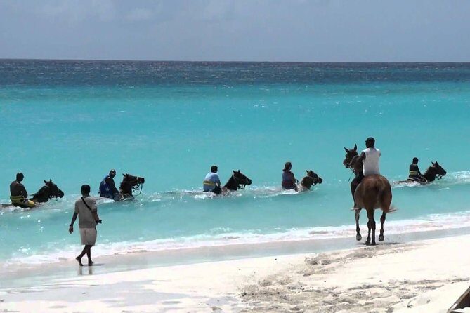 Blue Hole and Horseback Riding and Shopping - A Deep Dive into the Tour Experience