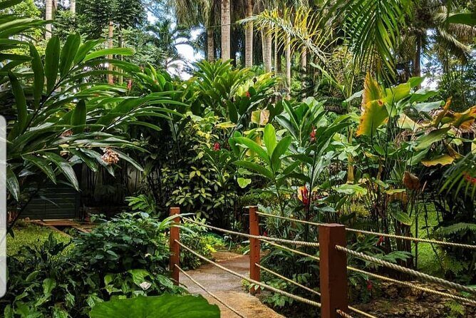 Blue Hole And Konoko Falls Combo Tour From Ocho Rios & Runaway Bay! - Who Will Love This Tour?